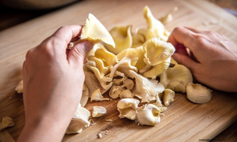 Yellow Oyster Mushrooms: A Comprehensive Guide to Growing & Enjoying