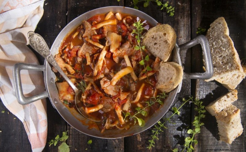 Pioppino Mushrooms: A Comprehensive Guide to Flavor, Foraging & Cooking