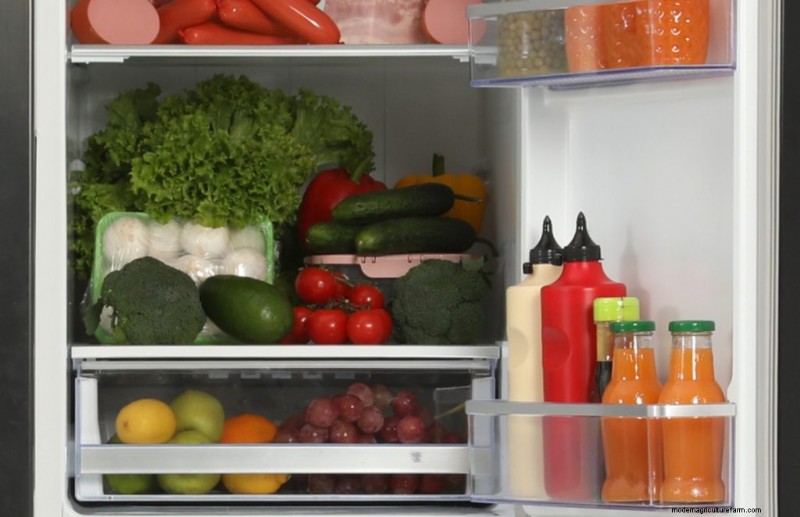 Expert Guide: How to Store Mushrooms for Maximum Freshness