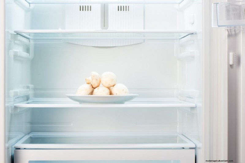 Expert Guide: How to Store Mushrooms for Maximum Freshness