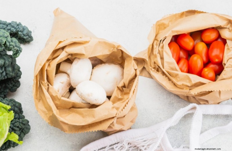 Expert Guide: How to Store Mushrooms for Maximum Freshness