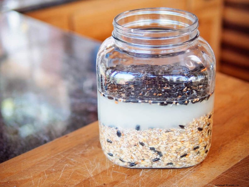 Fermented Chicken Feed: A Simple Guide to Boosting Hen Health & Egg Quality