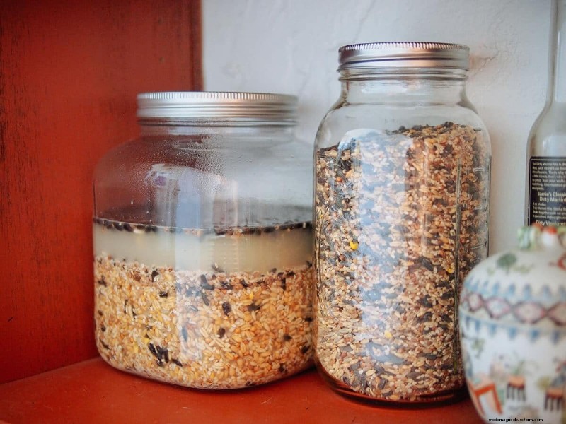 Fermented Chicken Feed: A Simple Guide to Boosting Hen Health & Egg Quality