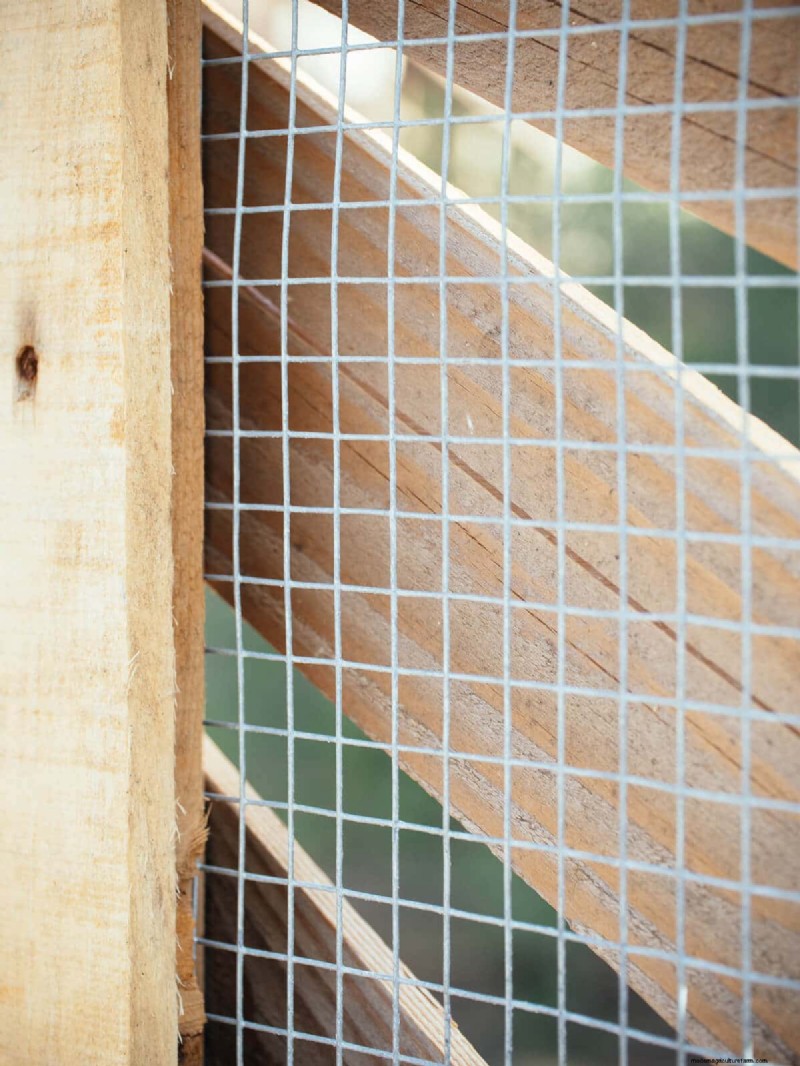 Secure Your Flock: 9 Proven Methods to Predator-Proof Your Chicken Coop & Run