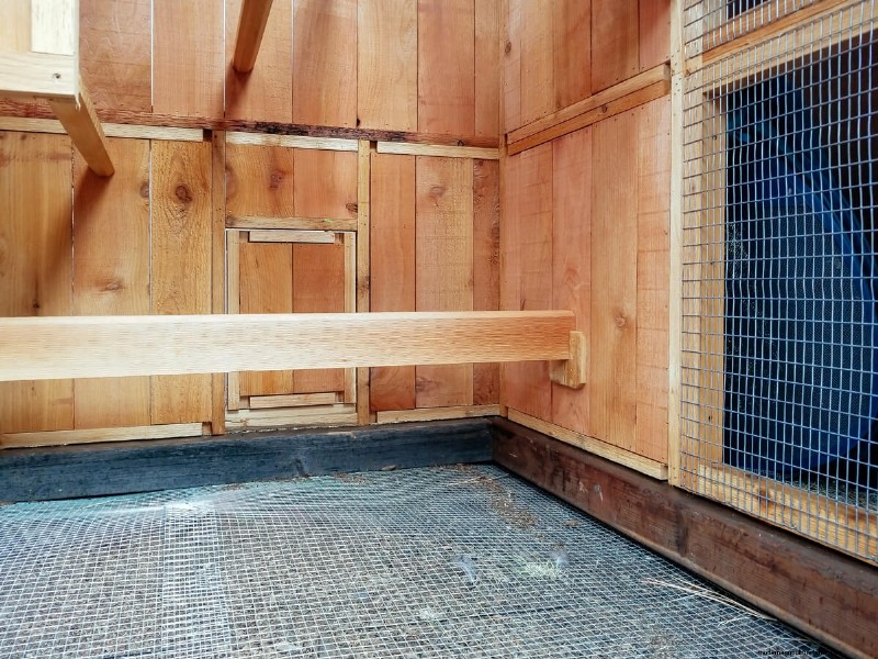 Secure Your Flock: 9 Proven Methods to Predator-Proof Your Chicken Coop & Run
