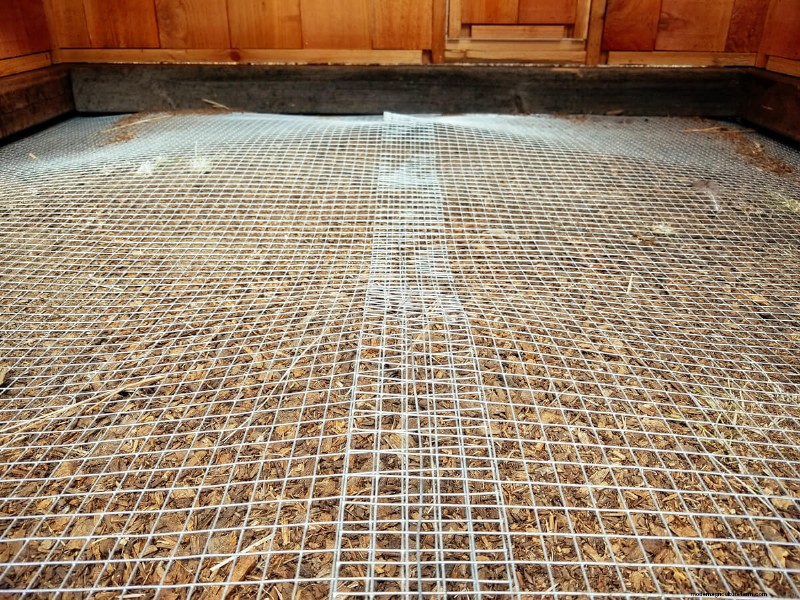 Secure Your Flock: 9 Proven Methods to Predator-Proof Your Chicken Coop & Run
