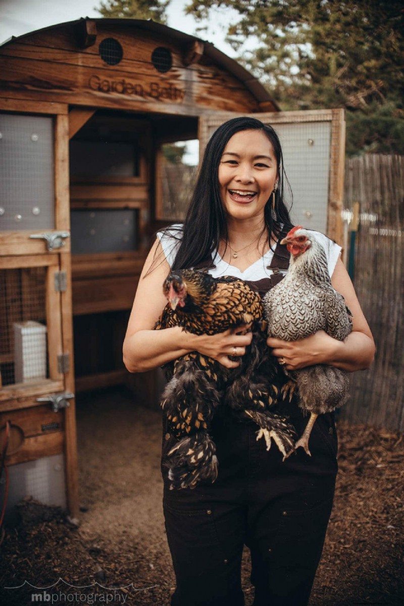 Remembering Iman: A Beloved Cochin Chicken s Life & Legacy