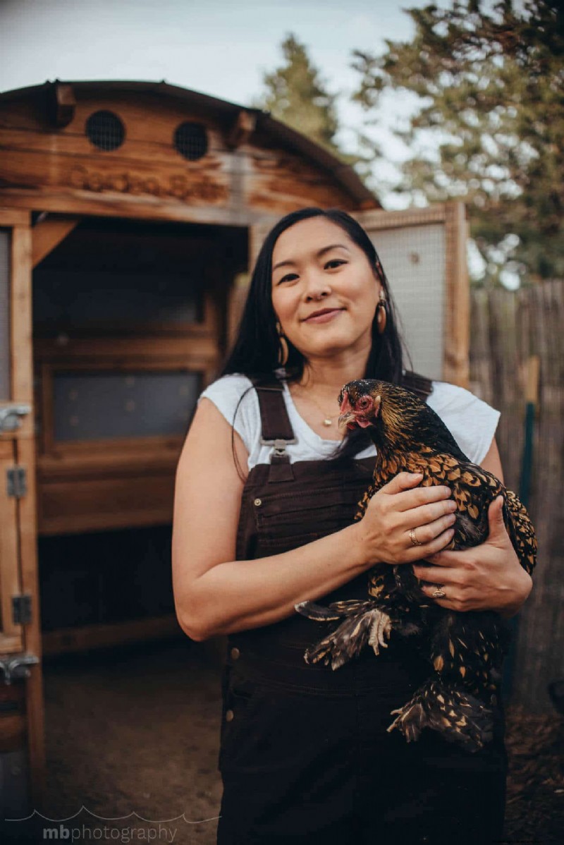 Remembering Iman: A Beloved Cochin Chicken s Life & Legacy
