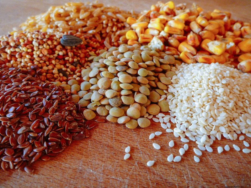 Garden Betty s Homemade Whole Grain Chicken Feed - Soy & Corn Free Options