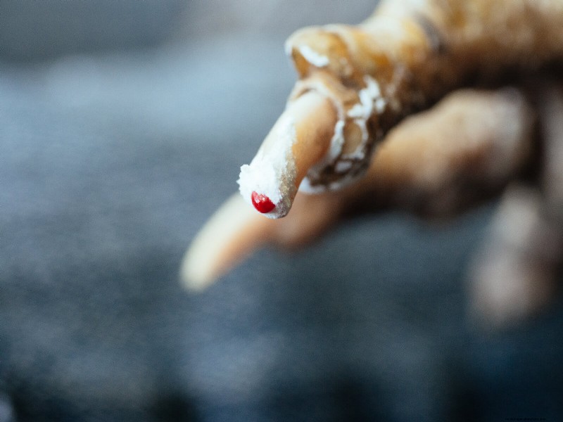 Guide to Trimming Chicken Toenails: A Flock Health Essential