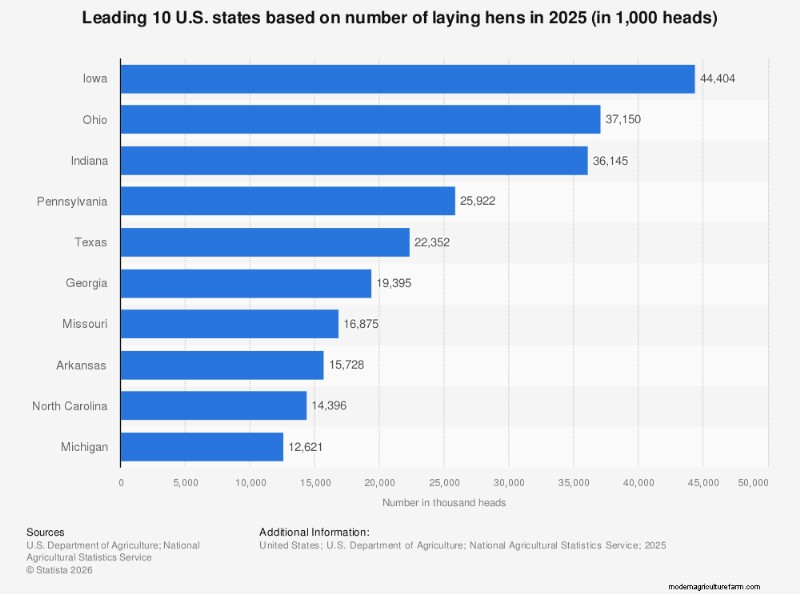Global Chicken Population: A Surprising 30+ Billion – 2023 Update
