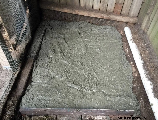 Top 7 Easy-to-Clean Chicken Coop Floor Options | Expert Guide