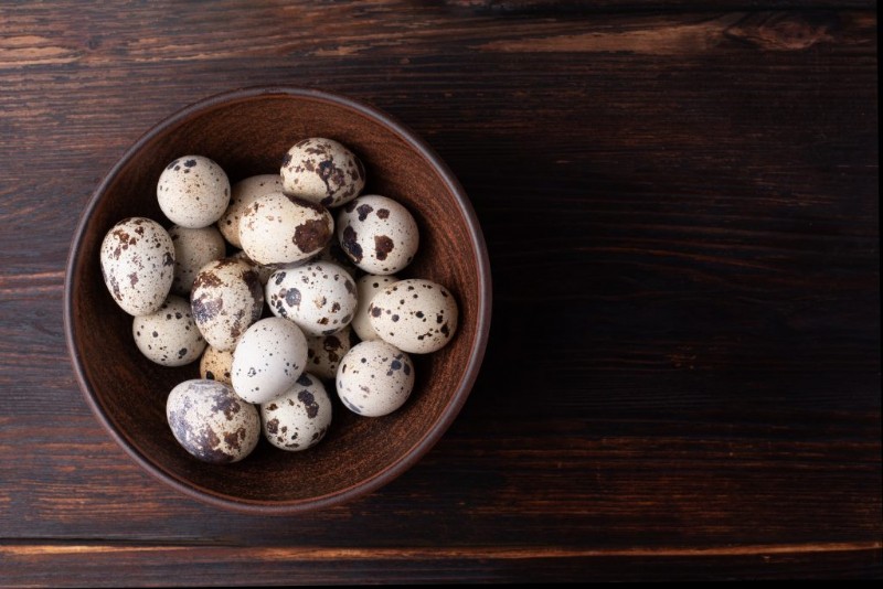 Quail Farming: A Comprehensive Guide for Beginners | Homesteading