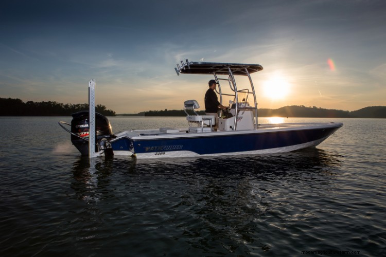 Day vs. Night Fishing: Expert Insights for Better Catches