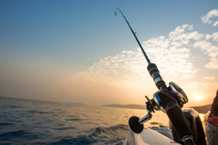 Sustainable Fishing: Eco-Friendly Practices for Anglers