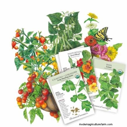 Best Vegetable Companion Planting Combinations for Spring