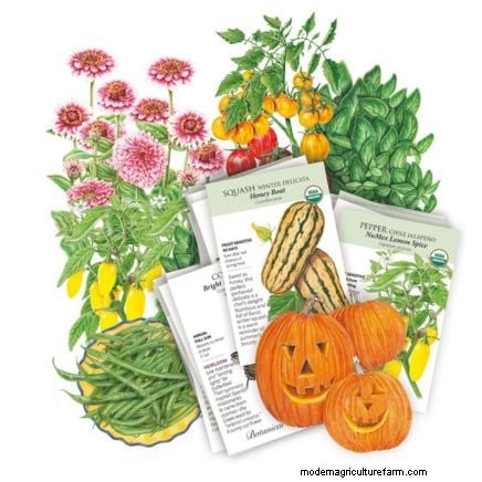 Best Vegetable Companion Planting Combinations for Spring