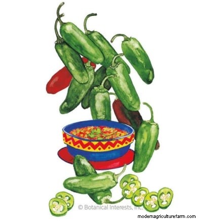 Pinching Pepper Plants: Maximize Your Harvest - Expert Guide