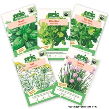 Indoor vs. Outdoor Herb Gardening: Which is Best for Spring?