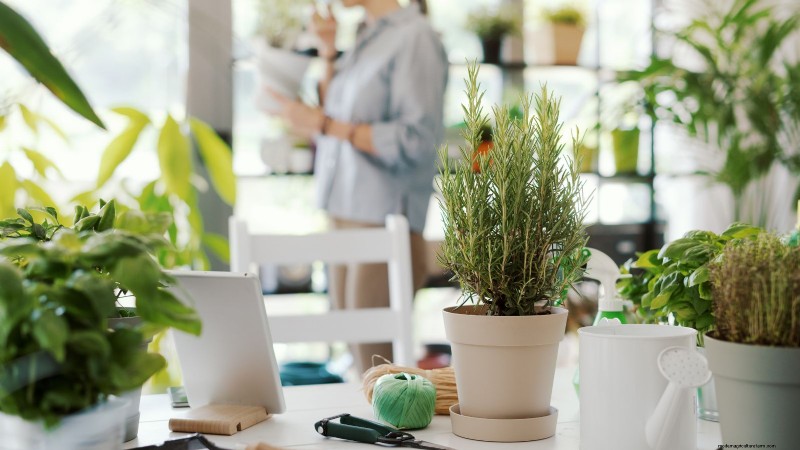 Indoor vs. Outdoor Herb Gardening: Which is Best for Spring?