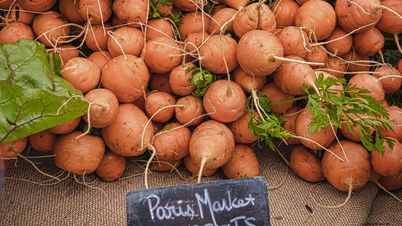 Paris Market Carrots: Planting, Growing & Harvesting - A Complete Guide