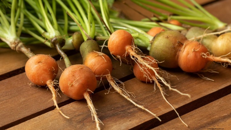 Paris Market Carrots: Planting, Growing & Harvesting - A Complete Guide