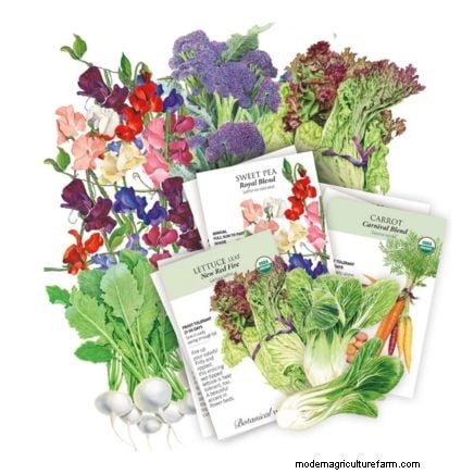 4-Year Crop Rotation Plan: A Simple Guide for Thriving Gardens