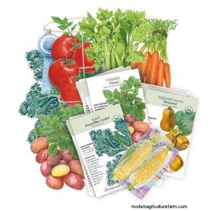 4-Year Crop Rotation Plan: A Simple Guide for Thriving Gardens