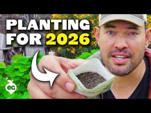 4-Year Crop Rotation Plan: A Simple Guide for Thriving Gardens