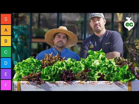 Grow Your Own Greens: 7 Easy & Healthy Varieties for January