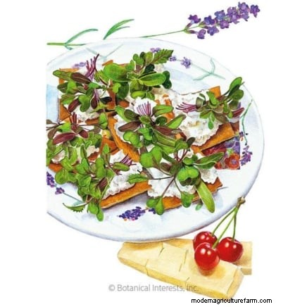 Troubleshooting Yellow & Floppy Microgreens: A Quick Guide