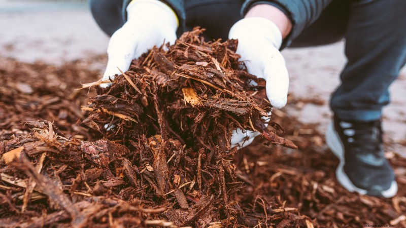 Winter Garden Bed Preparation: A Simple Guide