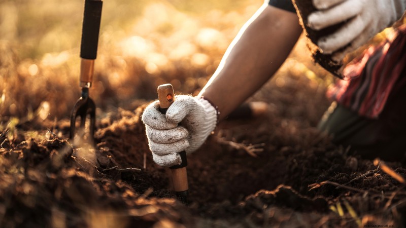 Winter Garden Bed Preparation: A Simple Guide