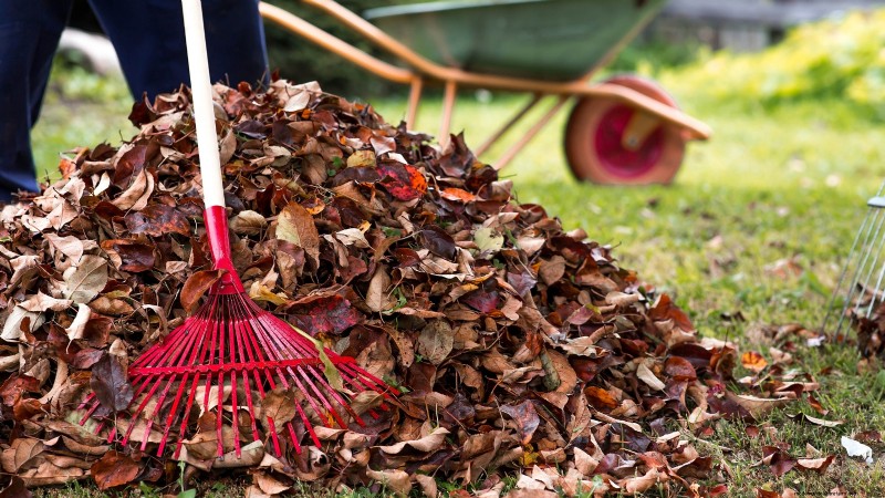 Winter Garden Bed Preparation: A Simple Guide