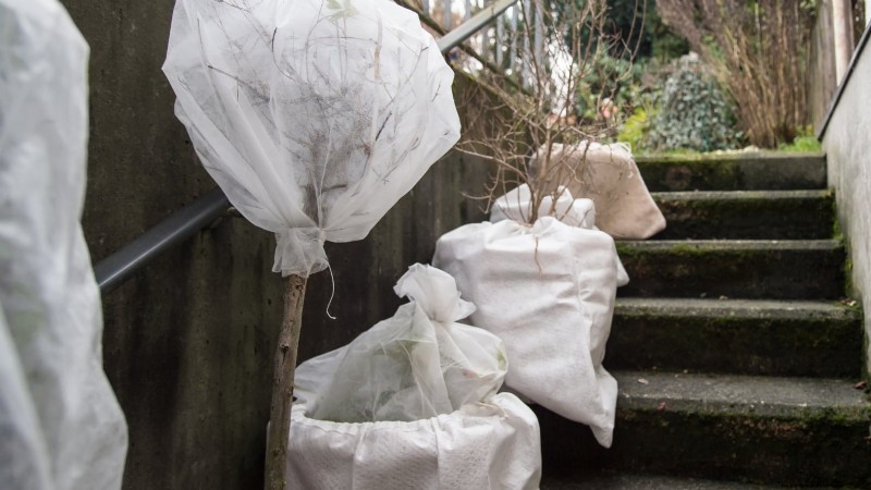 Winter Garden Bed Preparation: A Simple Guide