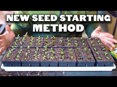Grow Your Own Food: 11 Best Indoor Food Forest Seeds for November