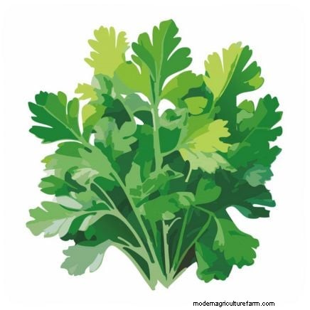 Grow Thanksgiving Herbs Indoors: A Guide to Fresh Flavor
