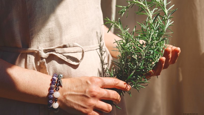 Grow Thanksgiving Herbs Indoors: A Guide to Fresh Flavor