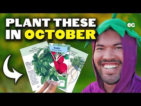 October Planting Guide: Cool-Season Crops for Your Kitchen Garden