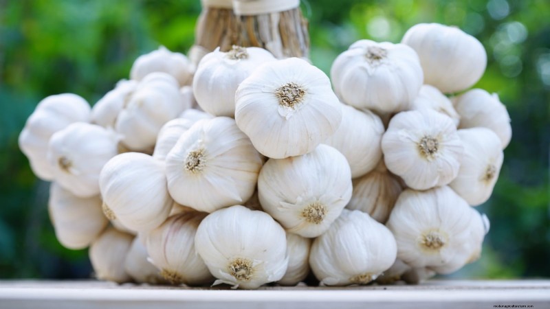 October Planting: 9 Perennial Vegetables for Year-Round Harvest
