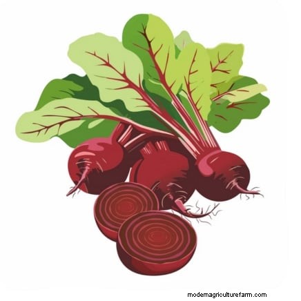 Frost-Tolerant Vegetables for October Planting: Extend Your Harvest