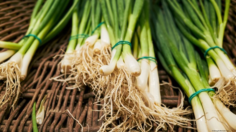 Asian Greens: Cultivating Flavor & Nutrition in Fall & Winter