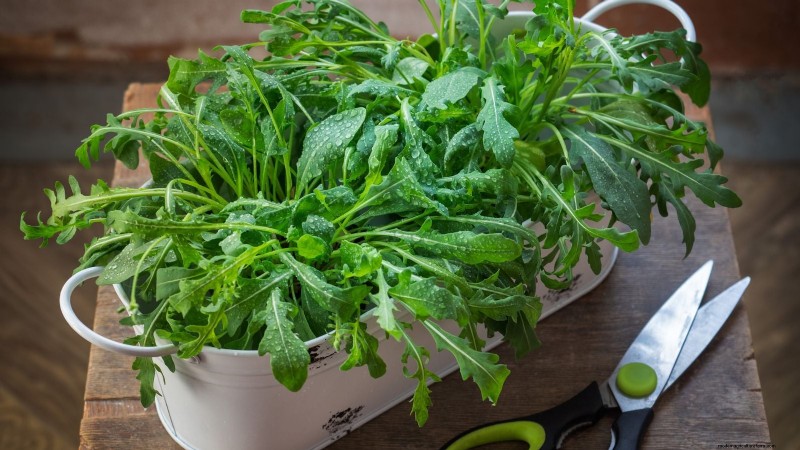 Best Indoor Herbs for Year-Round Flavor | Kitchen Herbs