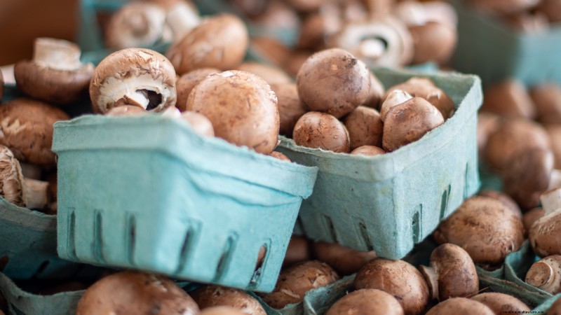 Fall Mushroom Growing: A Simple Beginner s Guide