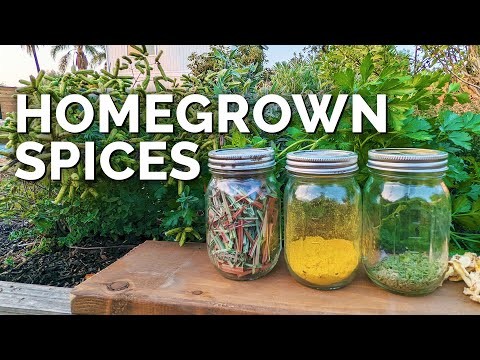 Best European Herbs for Autumn Planting & Flavor