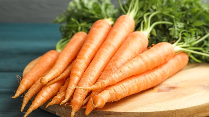 Best Root Vegetables to Start from Seed in August | [Your Website Name]