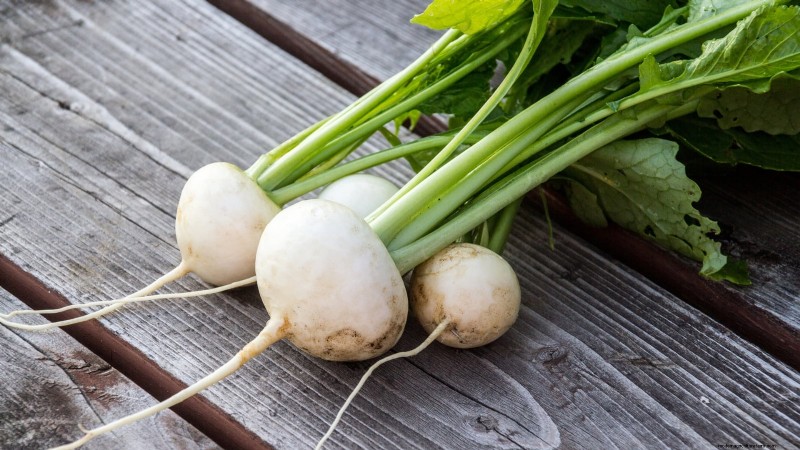 Best Root Vegetables to Start from Seed in August | [Your Website Name]