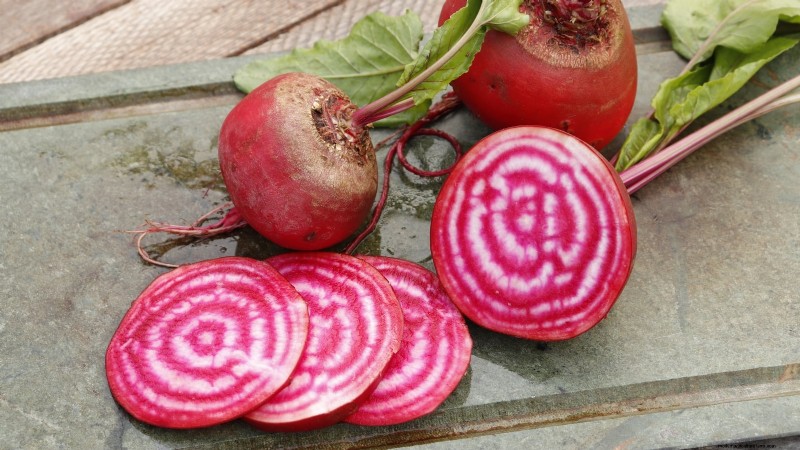 Best Root Vegetables to Start from Seed in August | [Your Website Name]