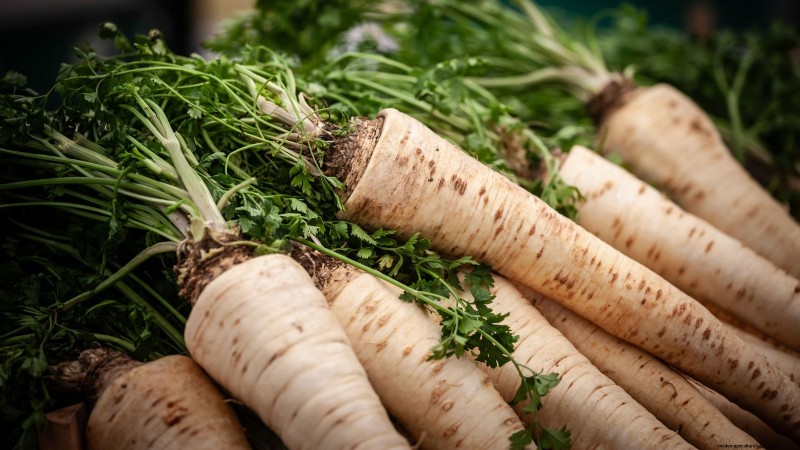 Best Root Vegetables to Start from Seed in August | [Your Website Name]