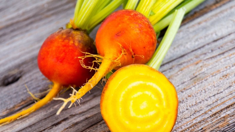 Best Root Vegetables to Start from Seed in August | [Your Website Name]